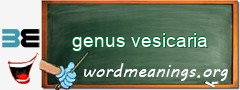 WordMeaning blackboard for genus vesicaria